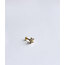 Habitas- Shining Star Piercing