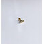 Habitas- Third Eye Piercing