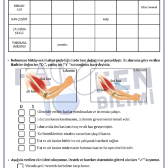 5.SINIF ARA TATİL TEKRAR 