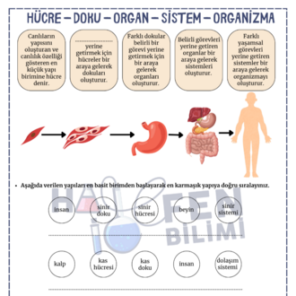 5.SINIF 3.ÜNİTE FASİKÜLÜ