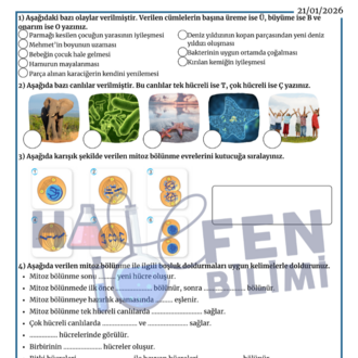 7.SINIF ARA TATİL TEKRAR 