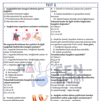 5.SINIF 3.ÜNİTE FASİKÜLÜ