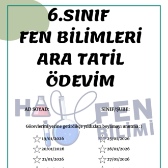 6.SINIF ARA TATİL TEKRAR 