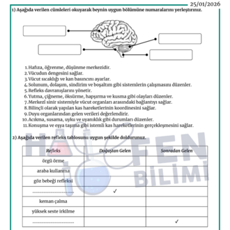 6.SINIF ARA TATİL TEKRAR 