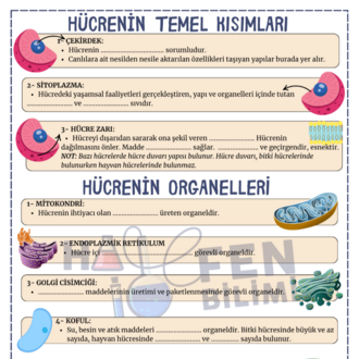 5.SINIF 3.ÜNİTE FASİKÜLÜ