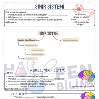 6.SINIF 3.ÜNİTE 2.KISIM ÇALIŞMA FASİKÜLÜ HALEİLEFENBİLİMİ