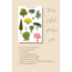 Bitki Çoklu Sticker Seti, 4lü sticker, Yarı şeffaf sticker, 8x12 cm, çıkartma, kola