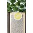 Limon mıknatıslı kitap ayracı