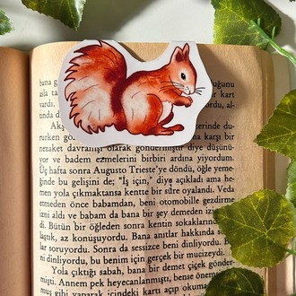 Mıknatıslı Sincap kitap ayracı, Magnetli kitap ayracı, Manyetik kitap ayracı