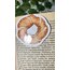 Simit mıknatıslı kitap ayracı