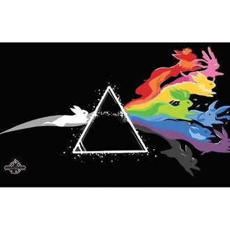 Pokemon Dark Side of The Evee