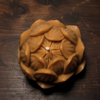 Lotus Mum