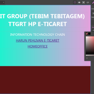 WEB EDİTÖR