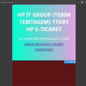 WEB EDİTÖR
