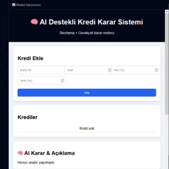 Kredi Yöneticisi PRO