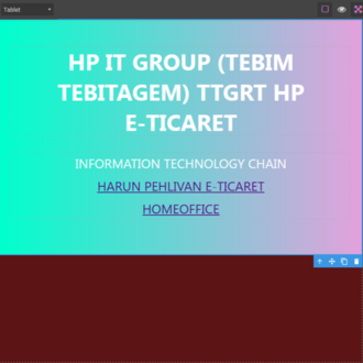 WEB EDİTÖR