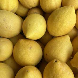 Limon yediveren 1 kg