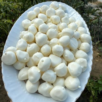 Misket peyniri(500 gr)