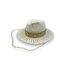 Stars Panama Hat
