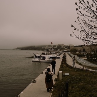 The Foggy Seashore