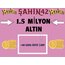 1.5 MİLYON ALTIN (40 LEVEL VE ÜSTÜNE)