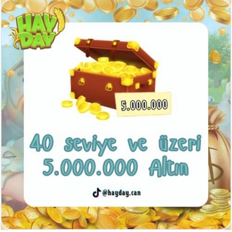 +40 lvl üstü 5 milyon altın