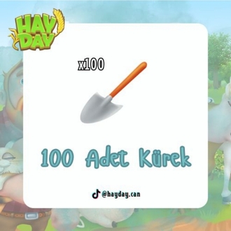 100 kürek 