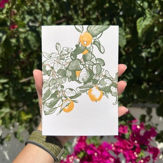“Ayva Ağacı” İllüstrasyon Kartpostal