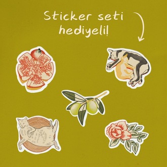 Kartpostal ✦ Kediler ✦ Sticker Seti Hediyeli