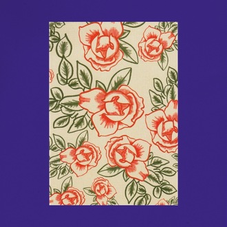 Kartpostal ✦ Güller ✦ Sticker Seti Hediyeli