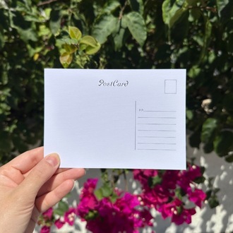 “Kediler” İllüstrasyon Kartpostal