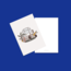 biz ve kedi . kartpostal - mini print seti
