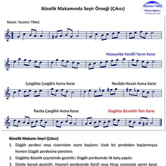 Türk Müziği Makamlarında Seyir (E-Kitap)