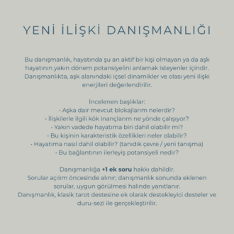 Tek Konu Danışmanlığı