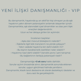Tek Konu Danışmanlığı • VIP