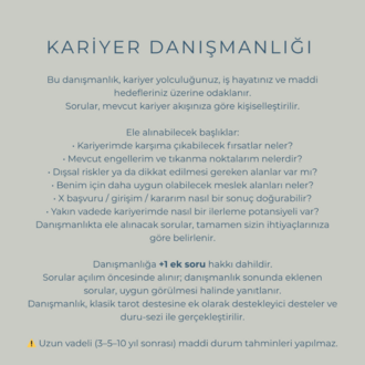 Tek Konu Danışmanlığı