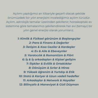 Yıllık Öngörü Danışmanlığı