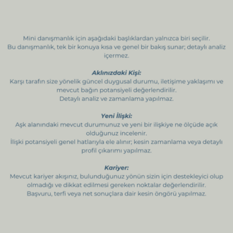 Mini Danışmanlık