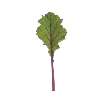 Unicorn Kale Fidesi 3 Adet