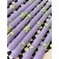 Daisy Dipsy Mum