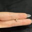 Üç Yaprak Sıralı Çelik Piercing 