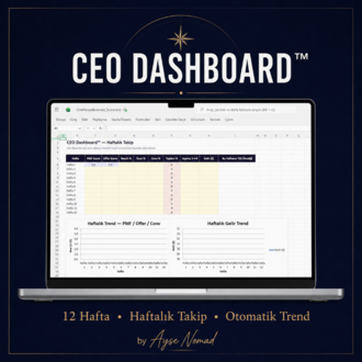 One Person Business OS™ — Tek Kişilik İşin Karar Sistemi