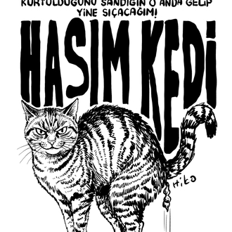 Hasım Kedi