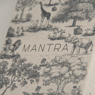 Mantra Rehberlik Kartları