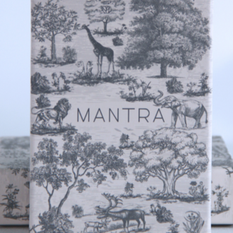 Mantra Rehberlik Kartları