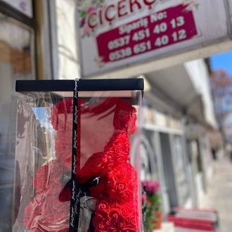 büyük kırmızı ayıcık kutusu