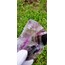 Rainbow Florit