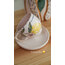 Limon