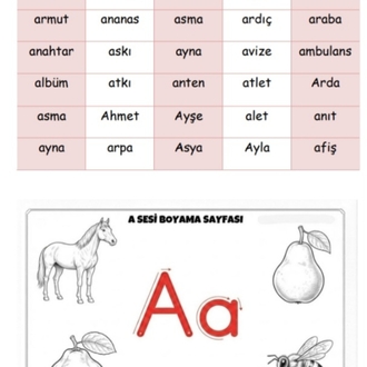 HIZLI OKUMA ALIŞTIRMA KİTABI
