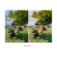 Hazır Lightroom Filtreleri: Hohhoyyt All Rounder